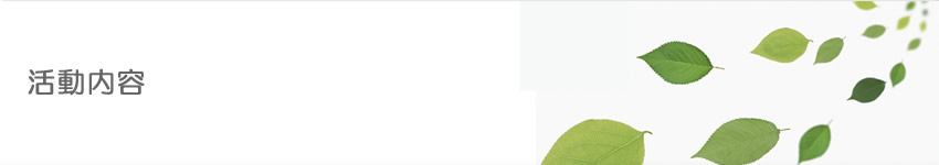 �������e