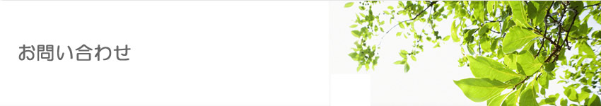 �������e