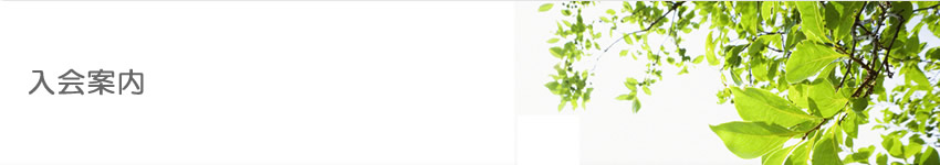 �������e